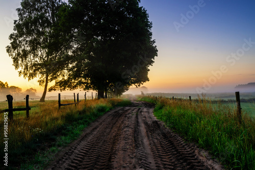 Piękne  letnie krajobrazy z Doliny Narwi, Podlasie, Polska