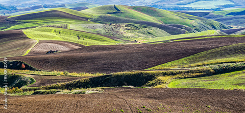 Italy/Basilicata, Matera district, Irsina, typical landscape in the surroundings of the village