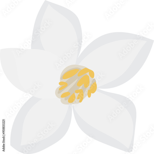 Beautiful jasmine illustration on transparent background.
