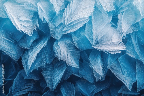 Wallpaper Mural Intricate Frost Patterns in Winter Blues Torontodigital.ca