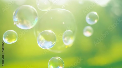 Wallpaper Mural Transparent flying soap bubbles on green background. Cosmetic concept Torontodigital.ca