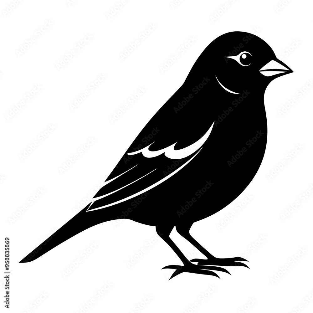 Obraz premium Sparrow Black silhouette