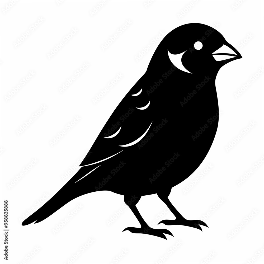 Sparrow Black silhouette Sparrow Black silhouette