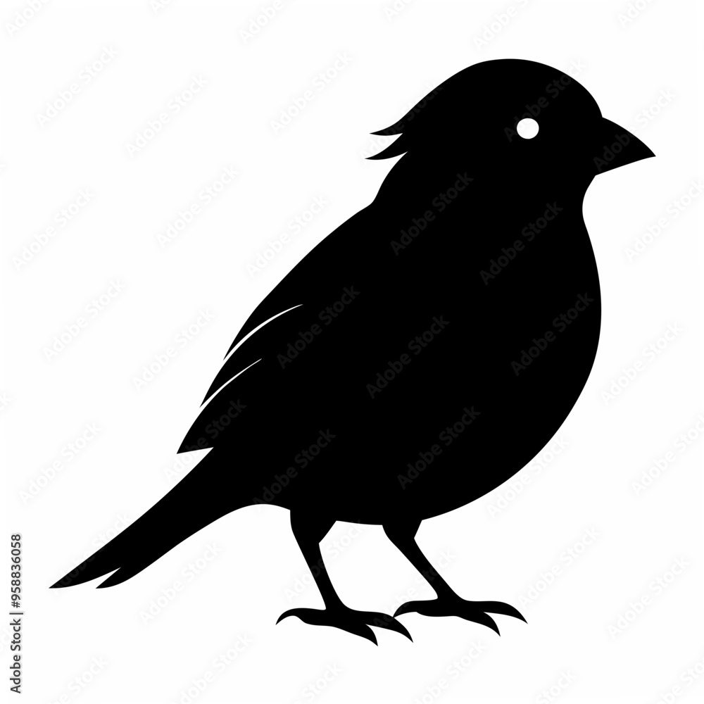 Obraz premium Sparrow Black silhouette