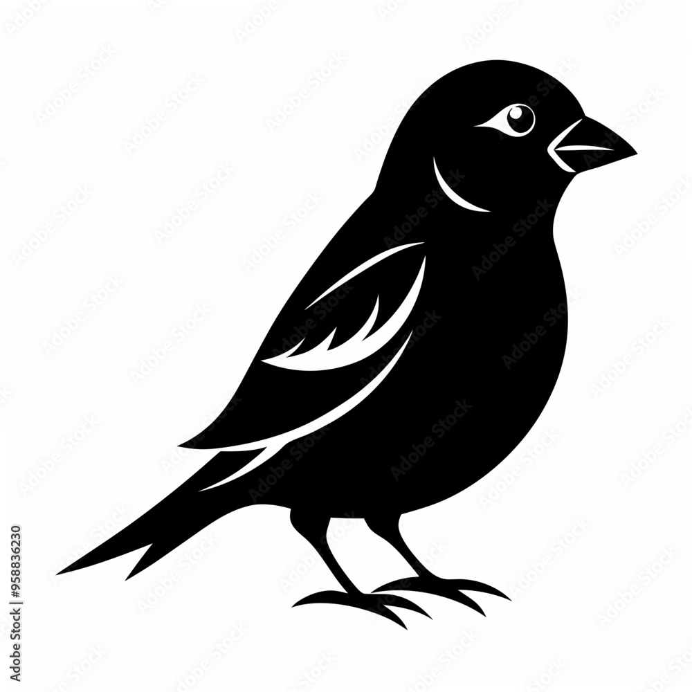 Sparrow Black silhouette Sparrow Black silhouette