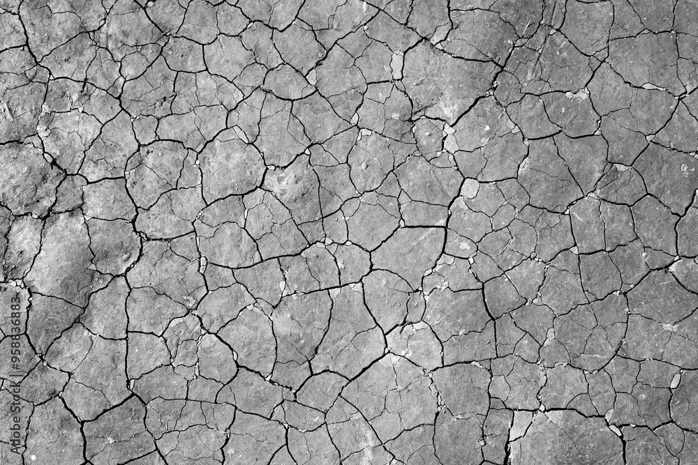 Dry cracks in soil. Earthy loam with smooth surface and countless irregular cracks that form at the bottom of a puddle as it dries in the sun. Drought or climate change background, black and white Dry cracks in soil. Earthy loam with smooth surface and countless irregular cracks that form at the bottom of a puddle as it dries in the sun. Drought or climate change background, black and white
