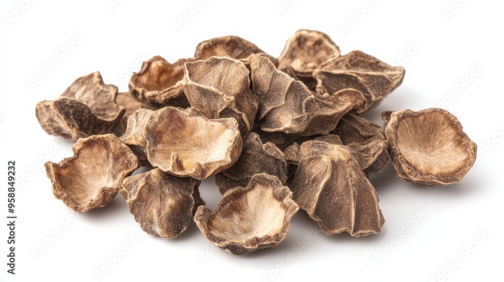 Dried Lotus Seeds Isolated on White Background. Dried Lotus Seeds Isolated on White Background.