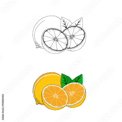 Lemon line art illustration 