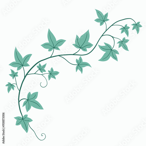 Floral ivy drawing decorative ornament flat design.