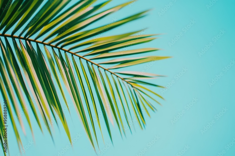 A vibrant palm leaf against a soft blue background, perfect for tropical themes and nature projects.