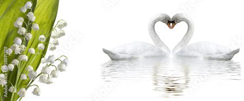 Two Swans Creating a Heart Shape in a Serene Lake Setting With Lily of the Valley Blossoms photo