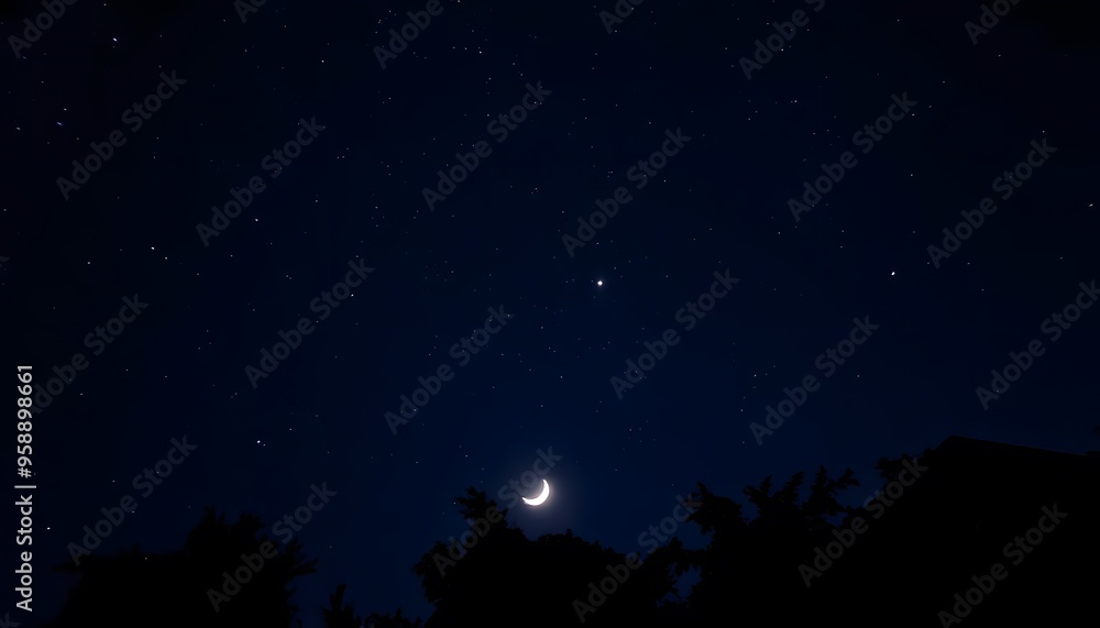 Obraz premium A crescent moon in a dark blue night sky, with silhouetted pine trees in the foreground
