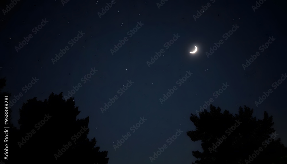 A crescent moon in a dark blue night sky, with silhouetted pine trees in the foreground A crescent moon in a dark blue night sky, with silhouetted pine trees in the foreground