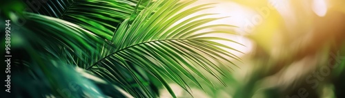 Vibrant green palm leaves illuminated by warm sunlight, creating a tranquil and lush tropical atmosphere.