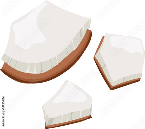 Fresh coconut illustration on transparent background.

