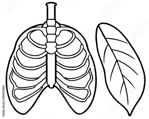 Lung Human Body Line Draw illustration,Human Lung Single Line Icon