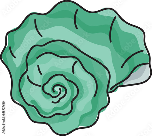 Cartoon sea ​​shell illustration on transparent background.
