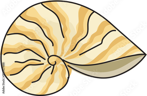 Cartoon sea ​​shell illustration on transparent background.
