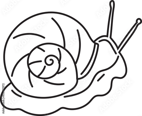 Cartoon snail hand drawn doodle illustration on transparent background.

