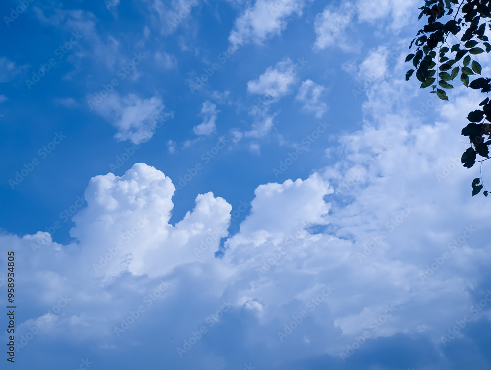 Beautiful blue sky and clouds with tree branch for background Beautiful blue sky and clouds with tree branch for background