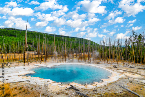 Yellowstone springs at the Yellowstone National Park