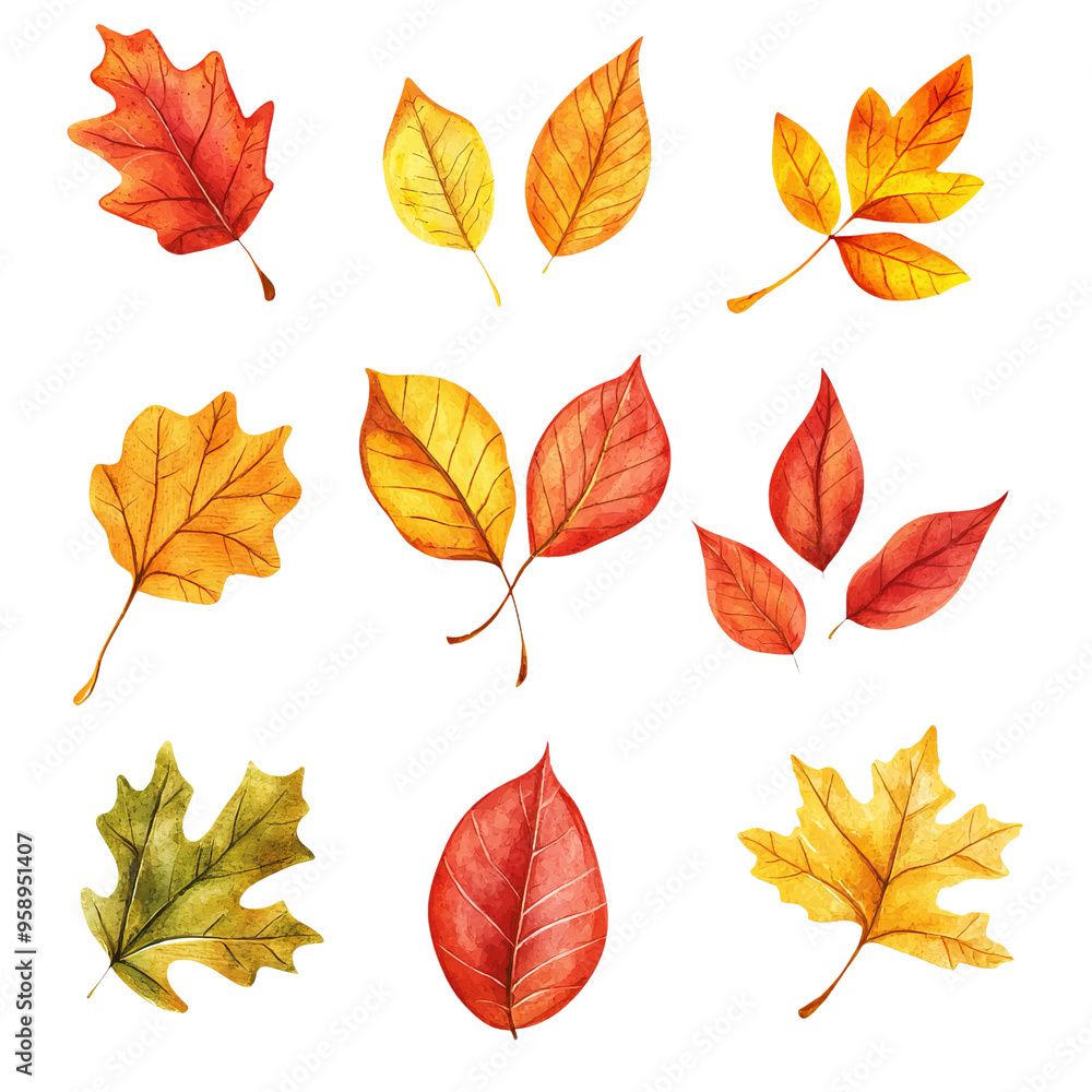 A collection of colorful autumn leaves in various shapes and shades, perfect for seasonal designs and nature-themed projects. A collection of colorful autumn leaves in various shapes and shades, perfect for seasonal designs and nature-themed projects.