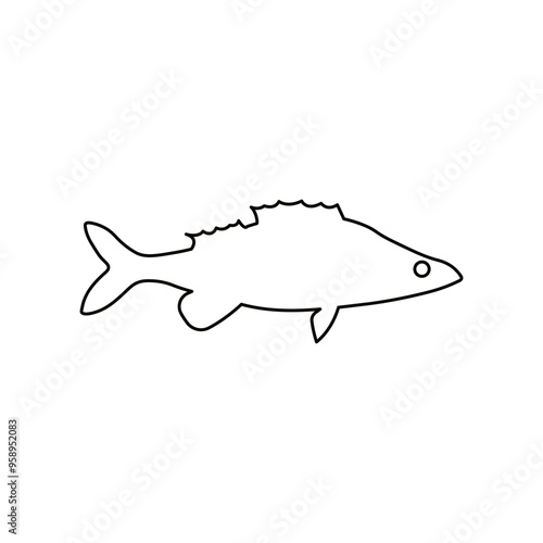 Vector illustration of fresh perch freshwater fish, outline on white. For menu, label, recipe, product packaging. Freshwater food element. Action promotion and advertising. Caviar. EPS 10.