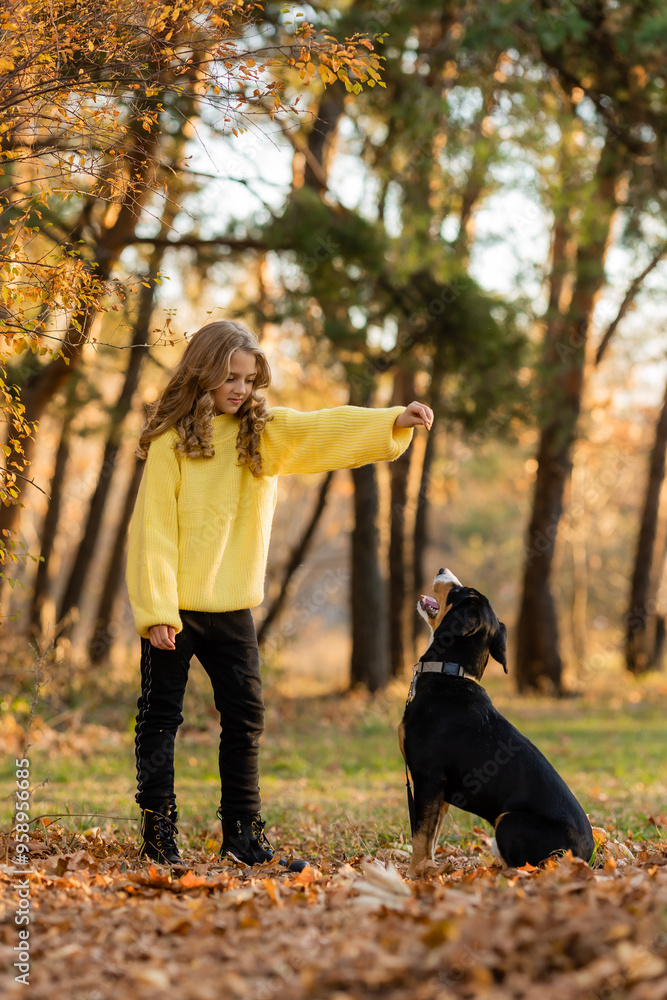 little teenage girl walks with her dog in the autumn in the forest