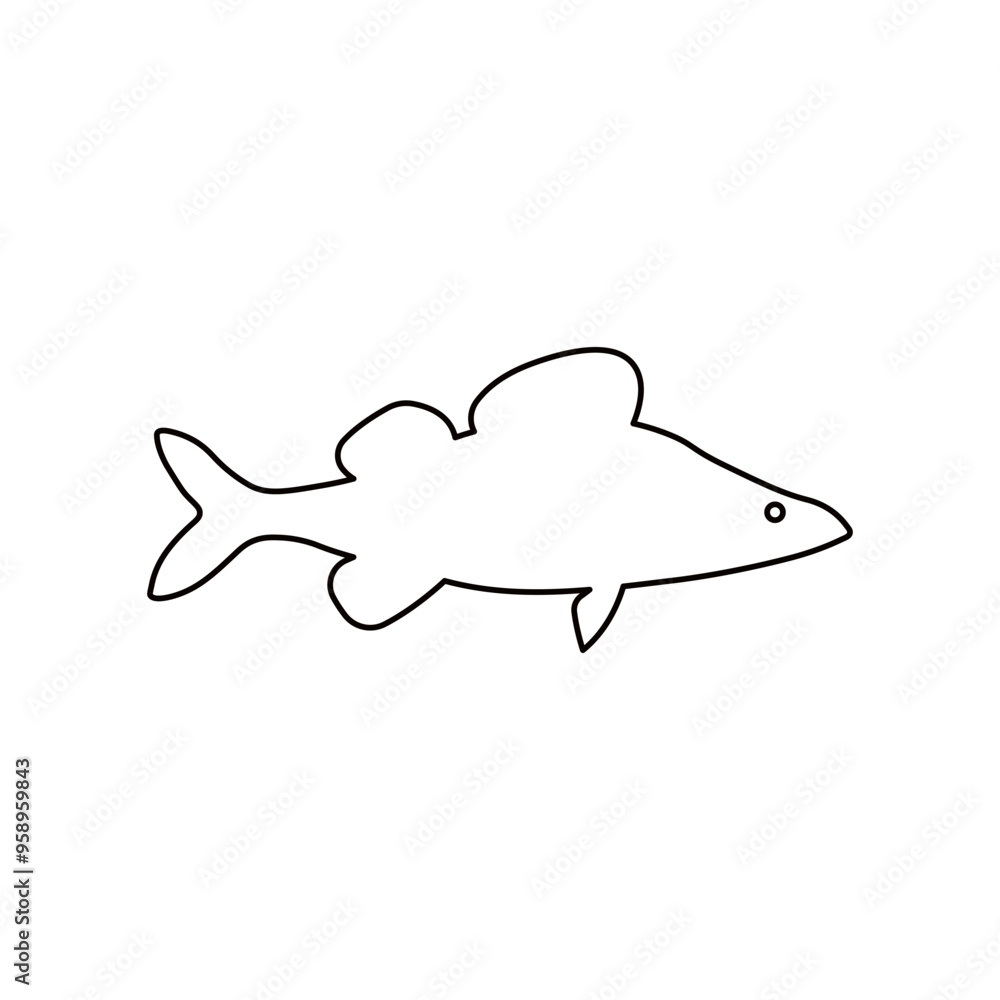 Vector illustration of fresh zander or pike perch freshwater fish, outline on white. For menu, label, recipe, product packaging. Food element. Action promotion and advertising. Caviar. EPS 10