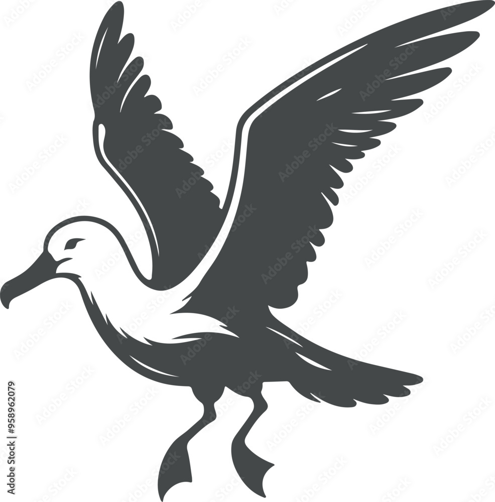 Fototapeta premium Albatross bird vector art