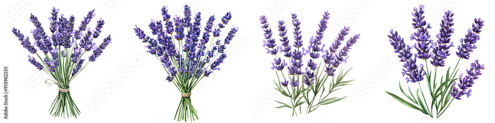 Beautiful lavender bouquets in various arrangements showcasing their vibrant color and natural elegance. Beautiful lavender bouquets in various arrangements showcasing their vibrant color and natural elegance.