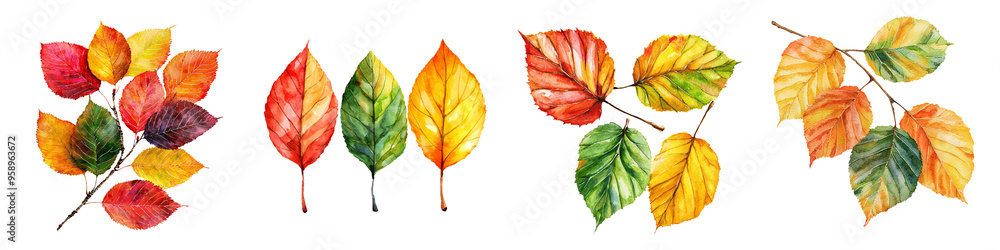 Obraz premium Colorful autumn leaves in various shapes and sizes, perfect for seasonal designs and nature-themed projects.