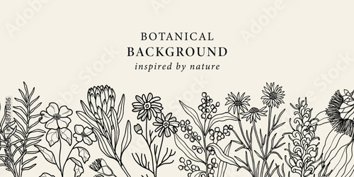 Hand drawn Australian native flowers background