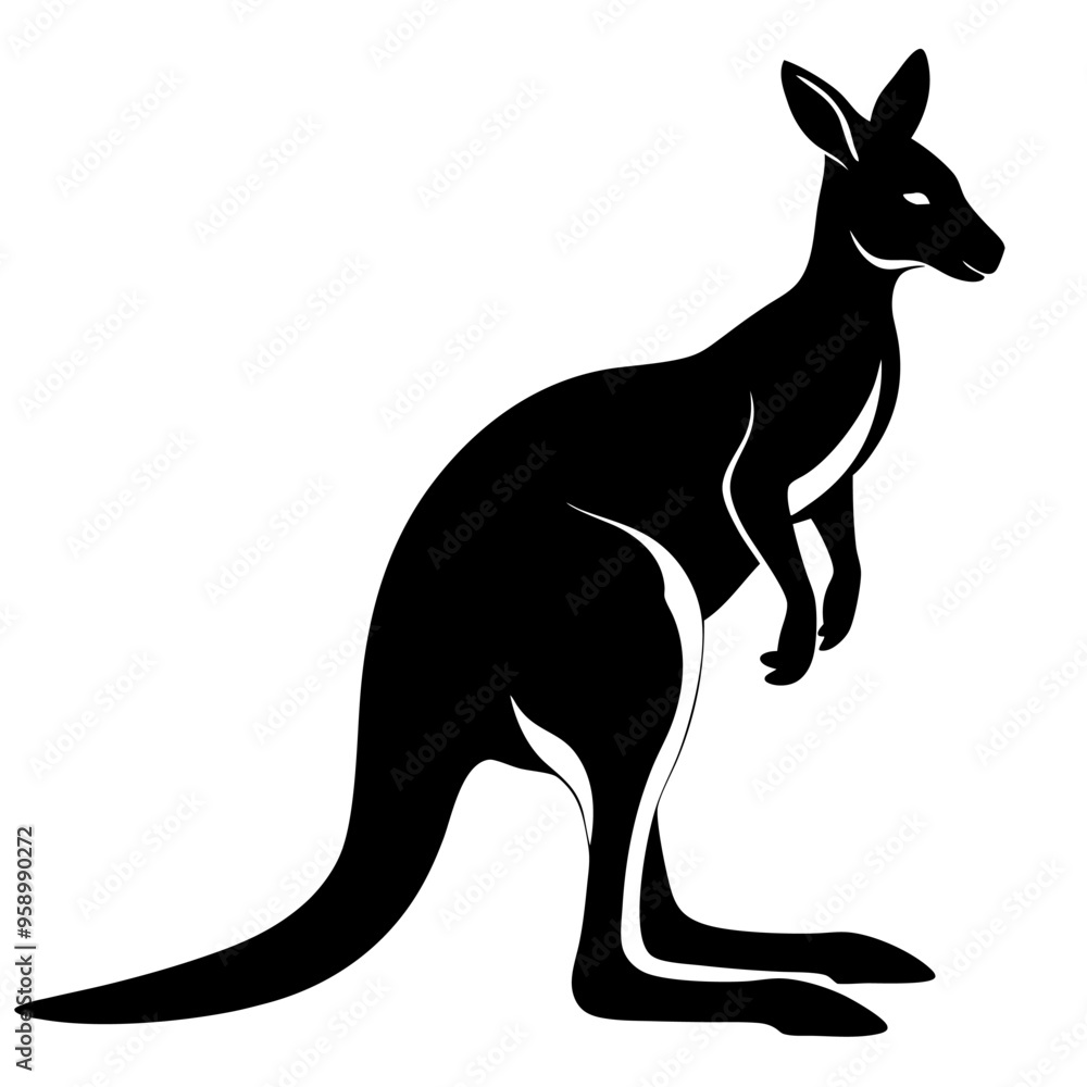 Kangaroo Australian wild animal line art silhouette vector illustration on white background Kangaroo Australian wild animal line art silhouette vector illustration on white background