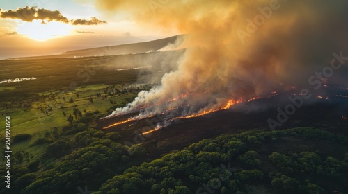 Devastating Wildfire Engulfs Maui, Hawaii: Scene of Destruction and Damage