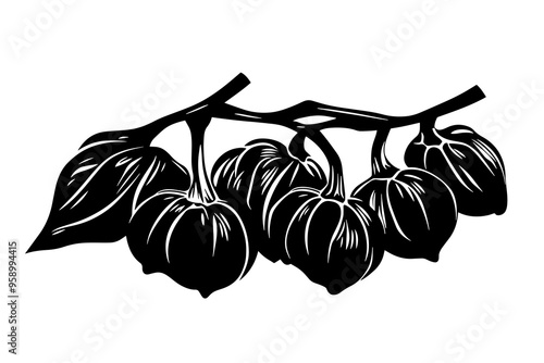 vector silhouette of a Delicious Garlic 