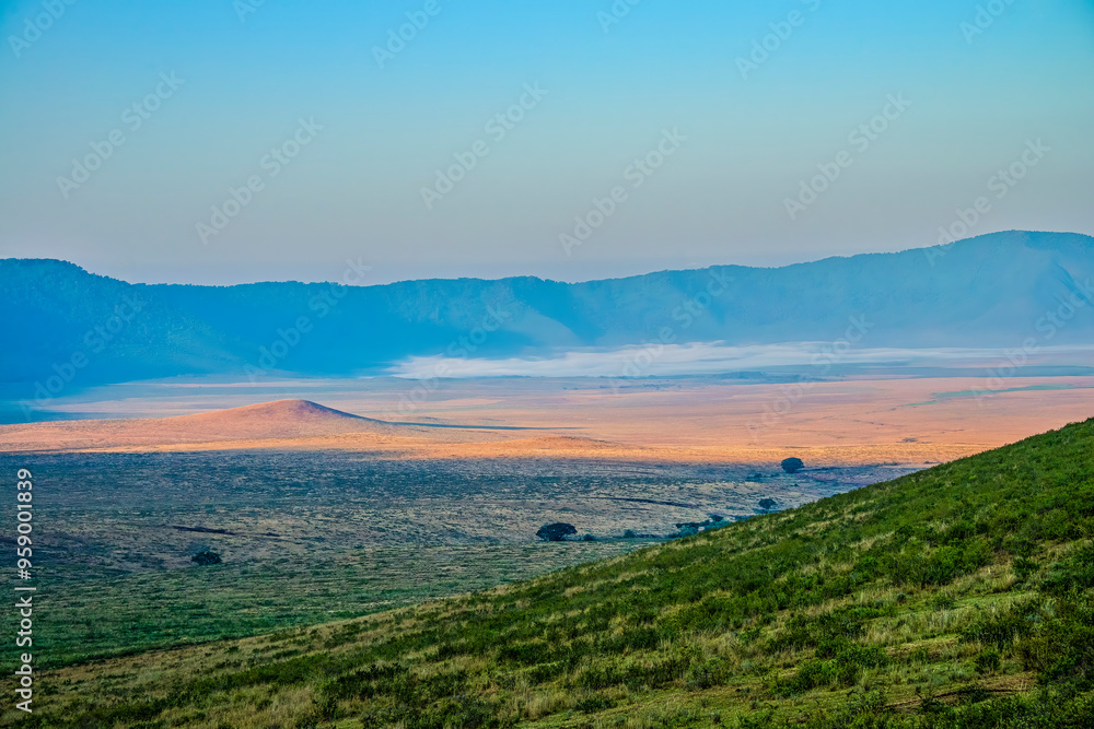Fototapeta premium Early Morning in the Ngorongoro Crater