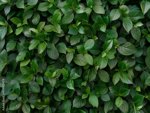 Symmetrical Aerial View of Green Leaf Bags in Intricate Pattern with Bright Diffused Lighting