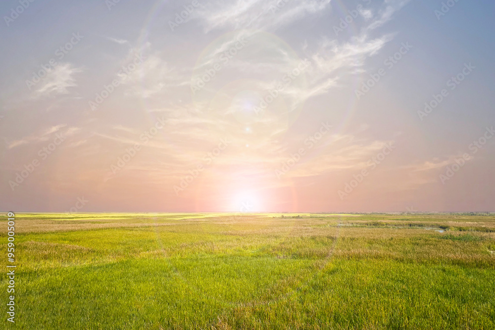 Sunset and sunrise field of green fresh grass under a dramatic sky background. Sunset and sunrise field of green fresh grass under a dramatic sky background.