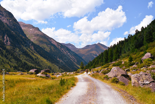 Mountain Road in the mountains. Valley in Summer. 