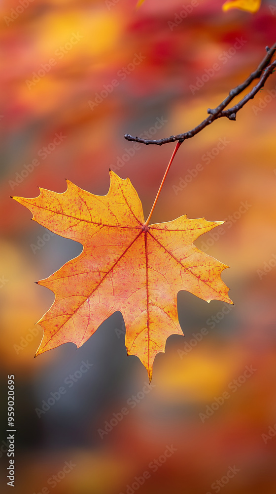 close-up of a dewy autumn leaf resting on a wet bench, illuminated by soft sunlight with a golden bokeh background, evoking a serene fall atmosphere. close-up of a dewy autumn leaf resting on a wet bench, illuminated by soft sunlight with a golden bokeh background, evoking a serene fall atmosphere.