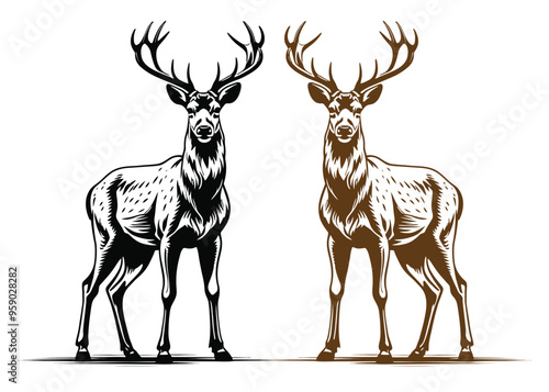 Beautiful deer vector  silhouette on white background
  