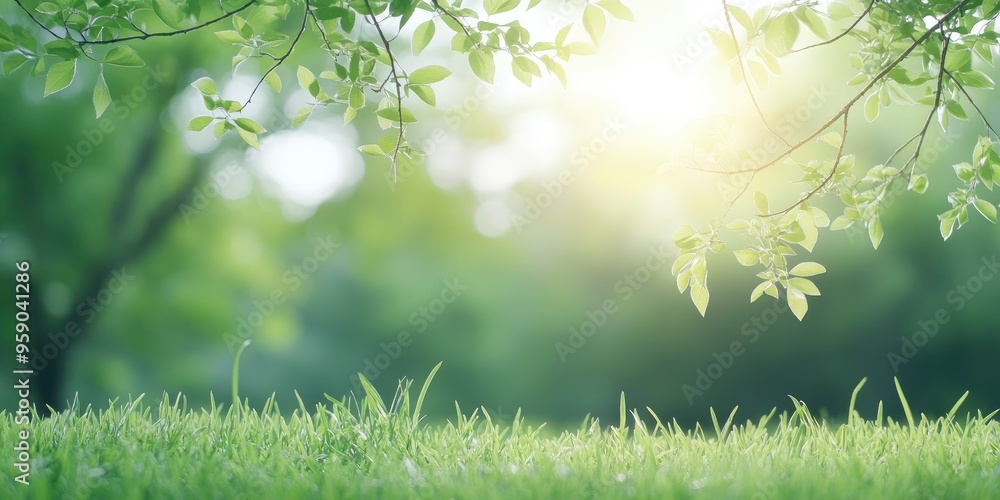 Obraz premium A clean, springtime garden background with green grass and bokeh-style, blurred foliage