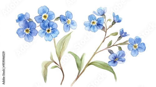 Delicate Watercolor Blue Flowers: A Celebration of Nature's Beauty and Elegance