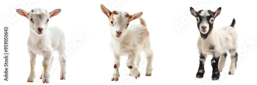 Set of a baby goat isolated on transparent background