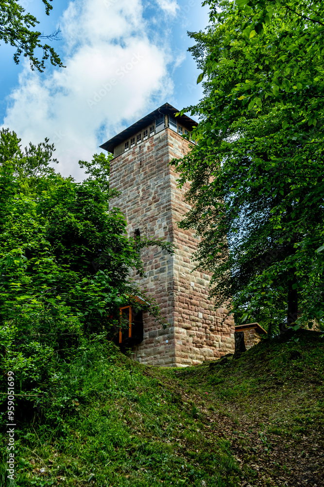 Obraz premium Eine wunderschöne frühlingshafte Wanderung rund um den Pleß Berg & der Burgruine Frankenberg bei Breitungen - Thüringen - Deutschland