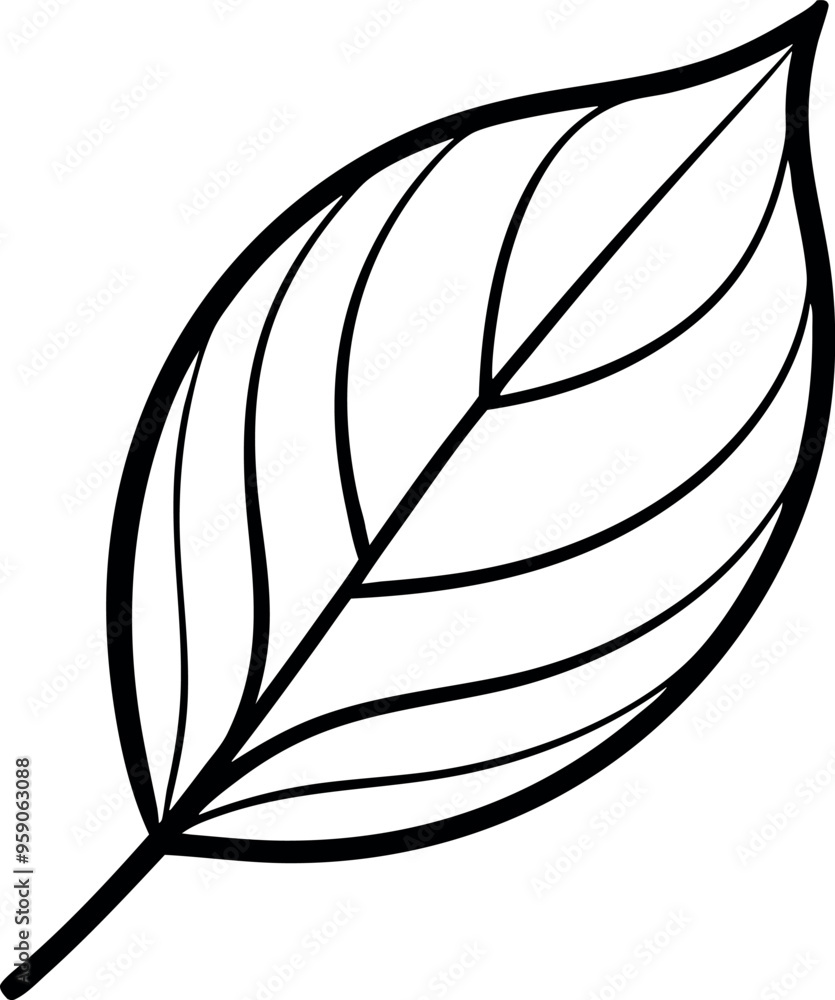 Simple Black and White Leaf Illustration with Clean Lines on White Background Simple Black and White Leaf Illustration with Clean Lines on White Background