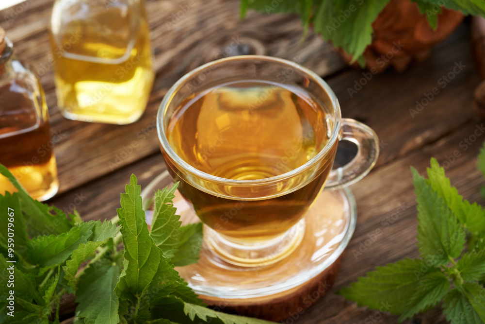 A cup of herbal tea with fresh nettle leaves on a table A cup of herbal tea with fresh nettle leaves on a table