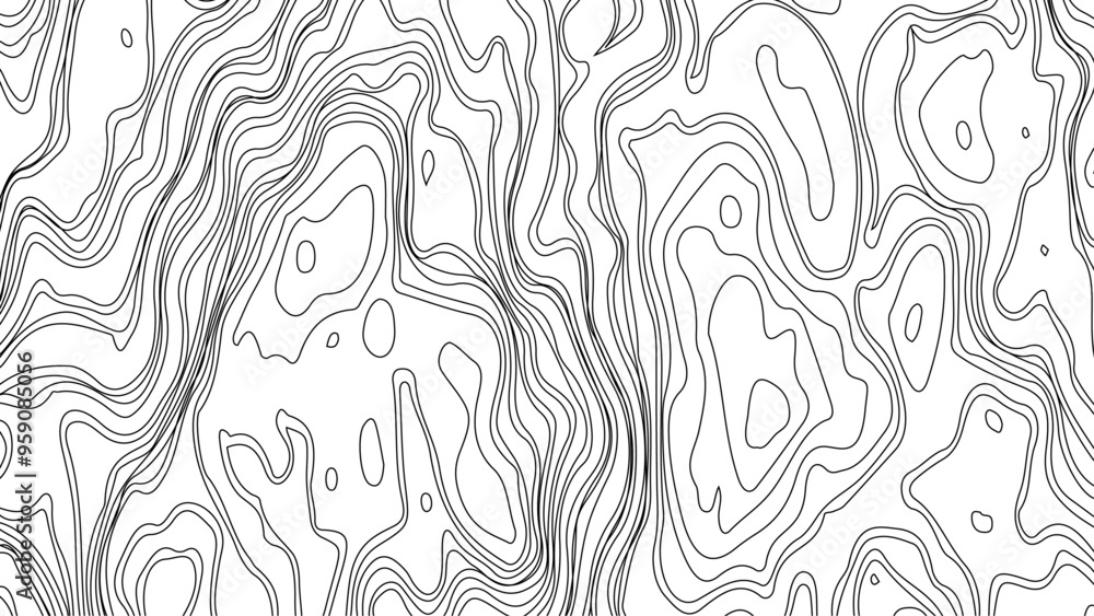 Black and white abstract background vector, Topographic background and texture, monochrome image. 3D Black and white abstract background vector, Topographic background and texture, monochrome image. 3D