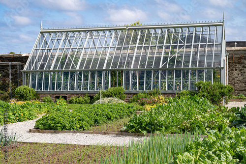 greenhouse with herbs and plants outside